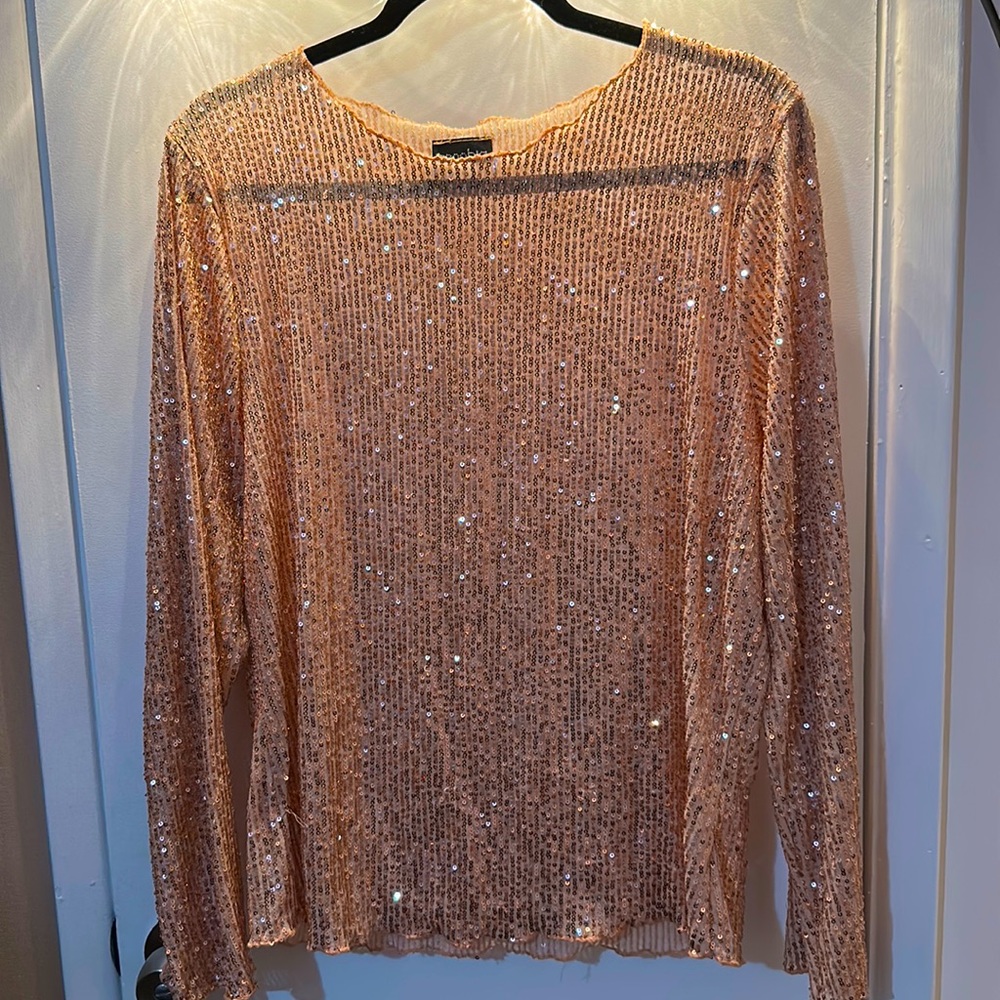 Zenobia; 3XL; Blush Pink long sleeve all sequins top
